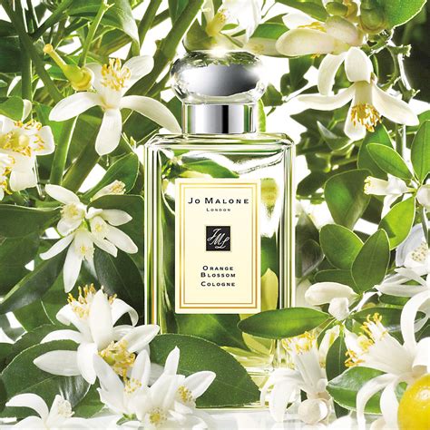 jo malone top selling perfume